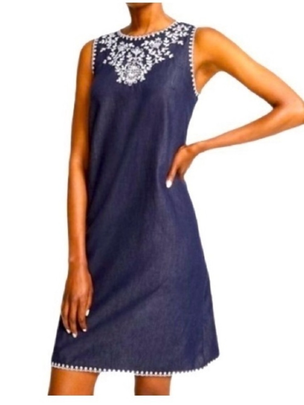 Ann Taylor Lightweight Chambray Embroidered Sleeveless Blue Jean Shift Dress (2)